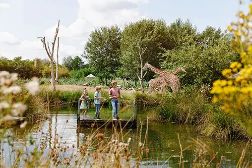 Land van Cuijk zooparc Overloon